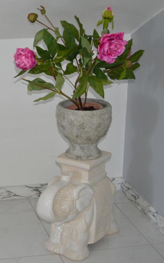 Bed & Breakfast Villa Lavanda Noci Exterior foto