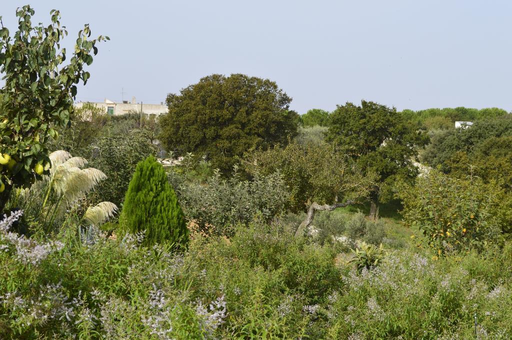 Bed & Breakfast Villa Lavanda Noci Quarto foto