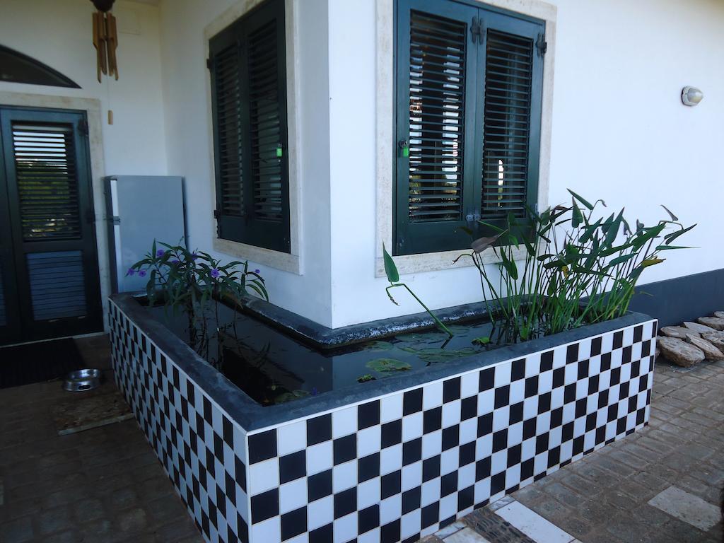 Bed & Breakfast Villa Lavanda Noci Exterior foto