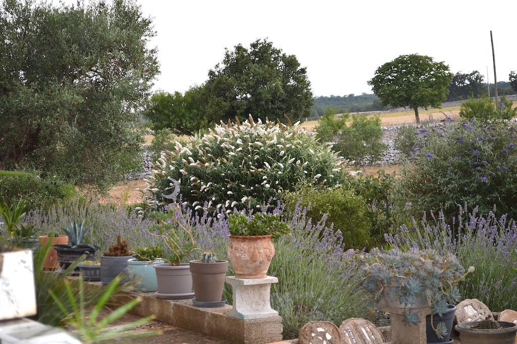 Bed & Breakfast Villa Lavanda Noci Exterior foto